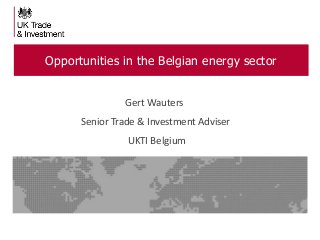 Opportunities in the Belgian energy sector
Gert Wauters
Senior Trade & Investment Adviser

UKTI Belgium

 
