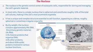 Nuclear Structure and Dynamics | PDF