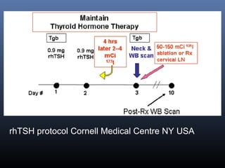 rhTSH protocol Cornell Medical Centre NY USA
 