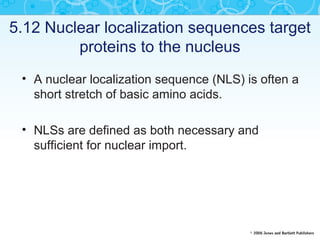 Nuclear transport | PPT