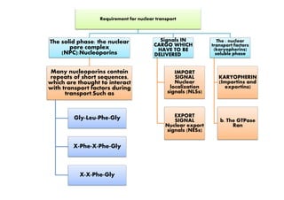 Requirement for nuclear transport
The solid phase: the nuclear
pore complex
(NPC):Nucleoporins
Many nucleoporins contain
repeats of short sequences,
which are thought to interact
with transport factors during
transport.Such as
Signals IN
CARGO WHICH
HAVE TO BE
DELIVERED
IMPORT
SIGNAL
Nuclear
localization
signals (NLSs)
The : nuclear
transport factors
(karyopherins)
soluble phase
KARYOPHERIN
(Importins and
exportins)
Gly-Leu-Phe-Gly
X-Phe-X-Phe-Gly
X-X-Phe-Gly
EXPORT
SIGNAL
Nuclear export
signals (NESs)
b. The GTPase
Ran
 