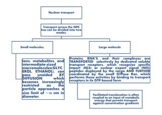 Nuclear transport
Transport across the NPC
has can be divided into two
modes.
Small molecules, Large molecule
Proteins, RNA’S, and their complexes are
Ions, metabolites, and
intermediate-sized
macromolecules(GLYC
EROL, ETHANOL), can
pass unaided BY
DIFFUSION which
becomes increasingly
restricted as the
particle approaches a
size limit of ∼10 nm in
diameter.
Proteins, RNA’S, and their complexes are
TRANSPORTED selectively by dedicated soluble
transport receptors, which recognize specific
import (NLS) or nuclear export signal (NES)
peptides displayed by the cargo AND FURTHER
coordinated by the small GTPase Ran, which
performs these activities by binding to transport
receptors in its GTP-bound form
Facilitated translocation is often
coupled to an input of metabolic
energy that permits transport
against concentration gradients
 