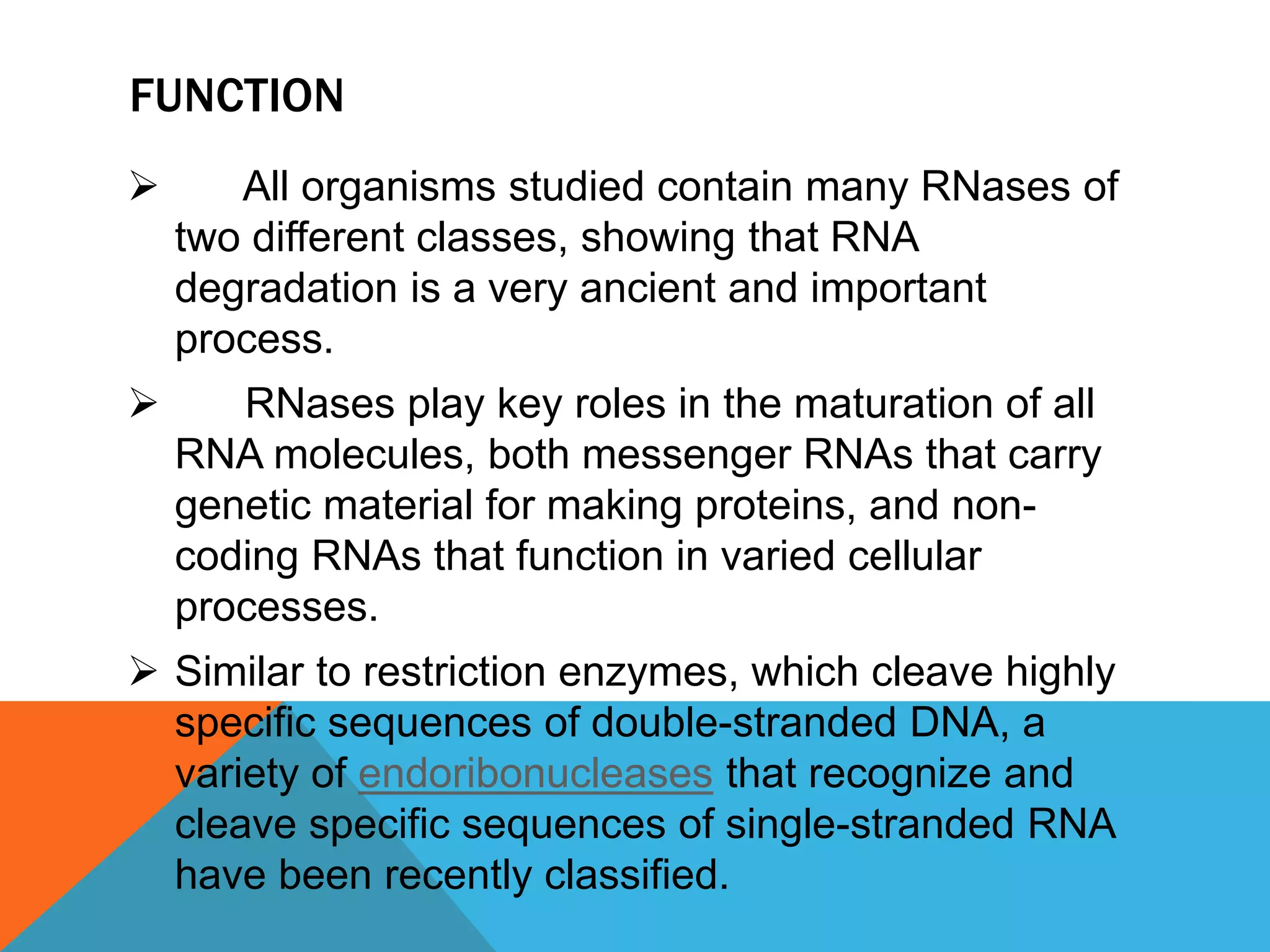 FUNCTION
 All organisms studied contain many RNases of
two different classes, showing that RNA
degradation is a very ancient and important
process.
 RNases play key roles in the maturation of all
RNA molecules, both messenger RNAs that carry
genetic material for making proteins, and non-
coding RNAs that function in varied cellular
processes.
 Similar to restriction enzymes, which cleave highly
specific sequences of double-stranded DNA, a
variety of endoribonucleases that recognize and
cleave specific sequences of single-stranded RNA
have been recently classified.
 