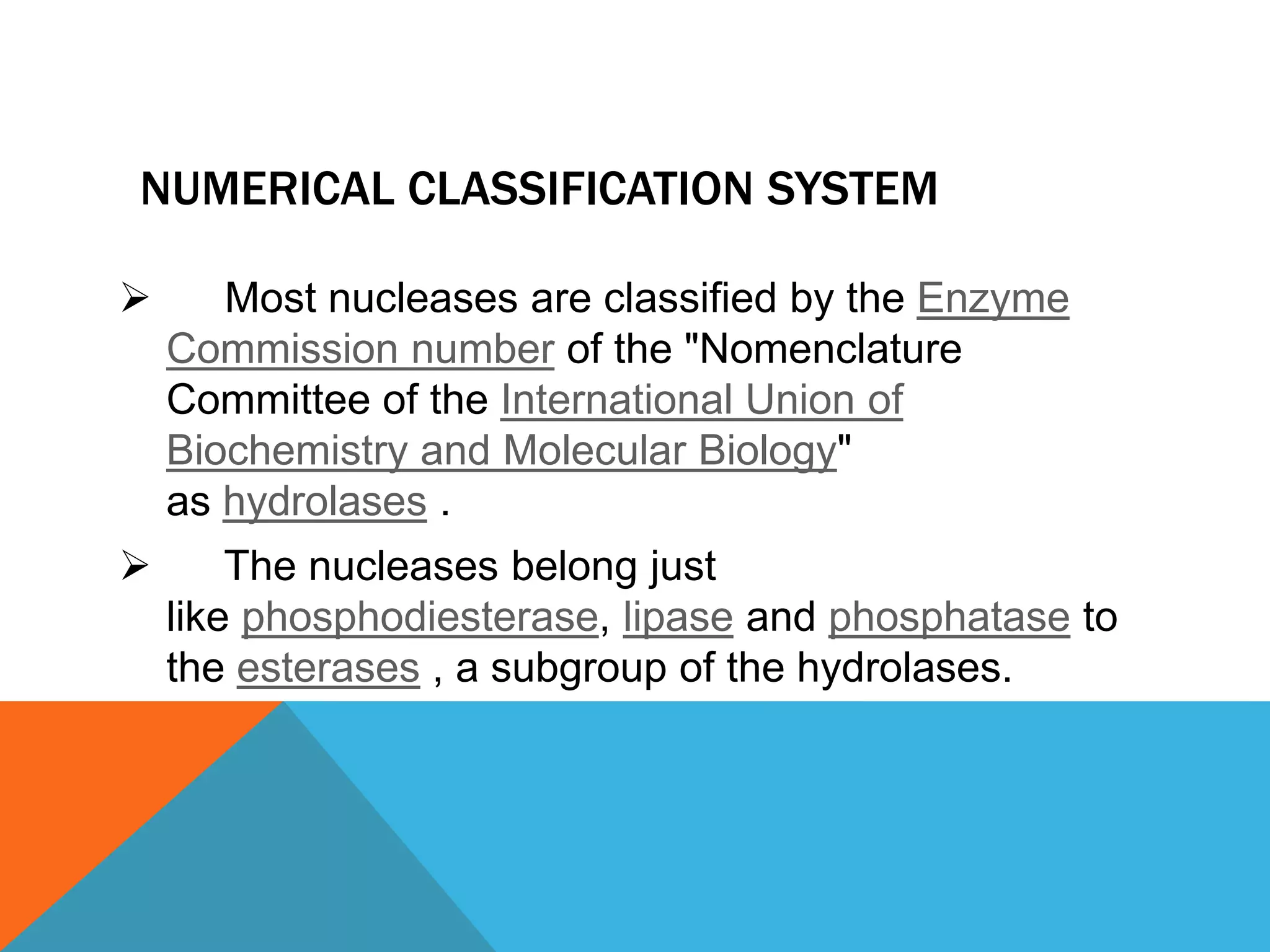 NUMERICAL CLASSIFICATION SYSTEM
 Most nucleases are classified by the Enzyme
Commission number of the "Nomenclature
Committee of the International Union of
Biochemistry and Molecular Biology"
as hydrolases .
 The nucleases belong just
like phosphodiesterase, lipase and phosphatase to
the esterases , a subgroup of the hydrolases.
 