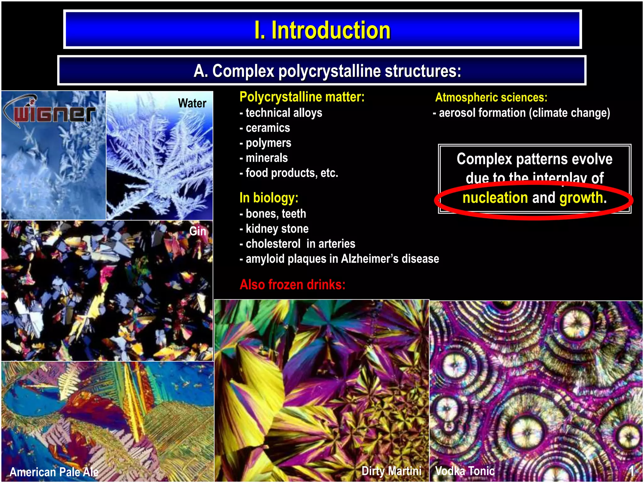 Complex patterns evolve
due to the interplay of
nucleation and growth.
I. Introduction
1American Pale Ale Dirty Martini Vodka Tonic
Gin
Water Polycrystalline matter: Atmospheric sciences:
- technical alloys - aerosol formation (climate change)
- ceramics
- polymers
- minerals
- food products, etc.
In biology:
- bones, teeth
- kidney stone
- cholesterol in arteries
- amyloid plaques in Alzheimer’s disease
Also frozen drinks:
A. Complex polycrystalline structures:
 