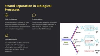 Nucleic-Acid-Denaturation Renaturation Hybrid.pptx