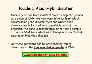 Nucleic Acid Hybridisation ,[object Object],[object Object],COMPLEMENTARY BASE PAIRING 