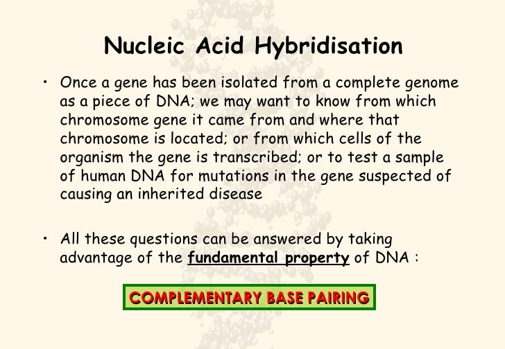 Nucleic Acid Hybridisation