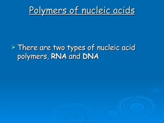 Polymers of nucleic acids There are two types of nucleic acid polymers,  RNA  and  DNA   