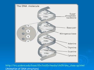 http://trc.ucdavis.edu/biosci10v/bis10v/media/ch09/dna_close-up.html (Animation of DNA structure) 