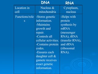 DNA RNA -Helps with protein synthesis by mRNA (messenger RNA), tRNA (transfer RNA), and rRNA (ribosomal RNA). -Stores genetic information. -Maintains growth and repair. -Controls all cellular activities. -Contains protein codes. -Ensures each daughter cell & gamete receives exact genetic information. Functions/roles Cytoplasm, nucleus Nucleus & mitochondria Location in cell 