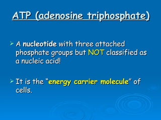 ATP (adenosine triphosphate) A  nucleotide  with three attached phosphate groups but  NOT  classified as a nucleic acid! It is the “ energy carrier molecule ” of cells. 