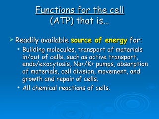 Functions for the cell (ATP) that is… Readily available  source of energy  for: Building molecules, transport of materials in/out of cells, such as active transport, endo/exocytosis, Na+/K+ pumps, absorption of materials, cell division, movement, and growth and repair of cells. All chemical reactions of cells. 