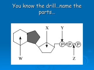 You know the drill…name the parts… 