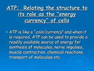 ATP:  Relating the structure to its role as the “energy currency” of cells ATP is like a “ coin/currency ” and when it is required, ATP can be used to provide a readily available source of energy for synthesis of molecules, nerve impulses, muscle contraction, chemical reactions, transport of molecules etc. 