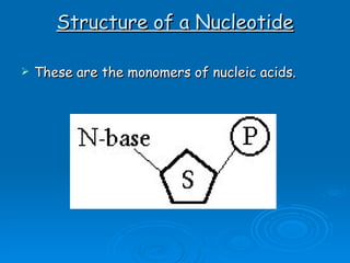 Structure of a Nucleotide These are the monomers of nucleic acids.  