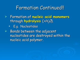 Formation Continued!! Formation of  nucleic acid monomers   through  hydrolysis   ( +H 2 0 ). E.g.  Nucleotides Bonds between the adjacent nucleotides are destroyed within the nucleic acid polymer. 
