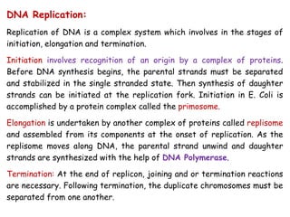 DNA Replication:
Replication of DNA is a complex system which involves in the stages of
initiation, elongation and termination.
Initiation involves recognition of an origin by a complex of proteins.
Before DNA synthesis begins, the parental strands must be separated
and stabilized in the single stranded state. Then synthesis of daughter
strands can be initiated at the replication fork. Initiation in E. Coli is
accomplished by a protein complex called the primosome.
Elongation is undertaken by another complex of proteins called replisome
and assembled from its components at the onset of replication. As the
replisome moves along DNA, the parental strand unwind and daughter
strands are synthesized with the help of DNA Polymerase.
Termination: At the end of replicon, joining and or termination reactions
are necessary. Following termination, the duplicate chromosomes must be
separated from one another.
 