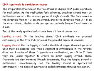 DNA synthesis is semidiscontinuous:
The antiparallel structure of the two strand of duplex DNA poses a problem
for replication. As the replication fork advances, daughter strand must be
synthesized on both the exposed parental single strands. The fork moves in
the direction from 5’ – 3’ on one strand, and in the direction from 3’ – 5’ on
the other strand. Nucleic acids are synthesized only from a 5’ end toward a
3’ end.
Two of the newly synthesized strands have different properties:
Leading strand: On the leading strand DNA synthesis can proceed
continuously in the 5’ to 3’ direction as the parental duplex is unwound.
Lagging strand: On the lagging strand a stretch of single stranded parental
DNA must be exposed, and then a segment is synthesized in the reverse
direction. A series of these fragments are synthesized, each 5’ to 3’, then
they are joined together to create an intact lagging strand. These
fragments are also known as Okazaki fragments. Thus the lagging strand is
synthesized discontinuously and the leading strand is synthesized
continuously. This mode of synthesis is called semidiscontinuous replication.
 