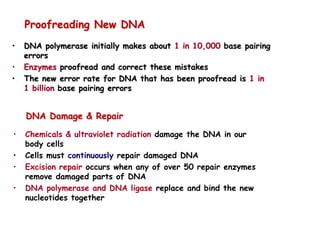 Proofreading New DNA
• DNA polymerase initially makes about 1 in 10,000 base pairing
errors
• Enzymes proofread and correct these mistakes
• The new error rate for DNA that has been proofread is 1 in
1 billion base pairing errors
DNA Damage & Repair
• Chemicals & ultraviolet radiation damage the DNA in our
body cells
• Cells must continuously repair damaged DNA
• Excision repair occurs when any of over 50 repair enzymes
remove damaged parts of DNA
• DNA polymerase and DNA ligase replace and bind the new
nucleotides together
 