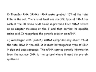 ii) Transfer RNA (tRNA): tRNA make up about 15% of the total
RNA in the cell. There is at least one specific type of tRNA for
each of the 20 amino acids found in proteins. Each tRNA serves
as an adaptor molecule at the 3’ end that carries its specific
amino acid. It recognizes the genetic code on an mRNA.
iii) Messenger RNA (mRNA): mRNA comprises only about 5% of
the total RNA in the cell. It is most heterogenous type of RNA
in size and base sequence. The mRNA carries genetic information
from the nuclear DNA to the cytosol where it used for protein
synthesis.
 
