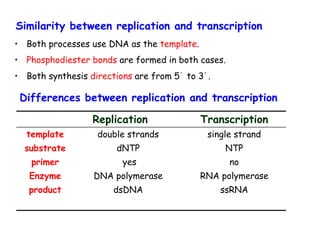 • Both processes use DNA as the template.
• Phosphodiester bonds are formed in both cases.
• Both synthesis directions are from 5´ to 3´.
Similarity between replication and transcription
Replication Transcription
template double strands single strand
substrate dNTP NTP
primer yes no
Enzyme DNA polymerase RNA polymerase
product dsDNA ssRNA
Differences between replication and transcription
 