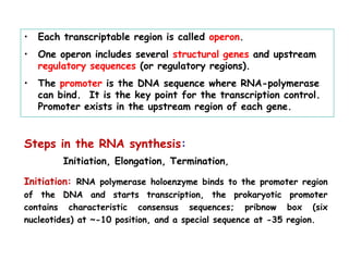 Steps in the RNA synthesis:
Initiation, Elongation, Termination,
Initiation: RNA polymerase holoenzyme binds to the promoter region
of the DNA and starts transcription, the prokaryotic promoter
contains characteristic consensus sequences; pribnow box (six
nucleotides) at ~-10 position, and a special sequence at -35 region.
• Each transcriptable region is called operon.
• One operon includes several structural genes and upstream
regulatory sequences (or regulatory regions).
• The promoter is the DNA sequence where RNA-polymerase
can bind. It is the key point for the transcription control.
Promoter exists in the upstream region of each gene.
 