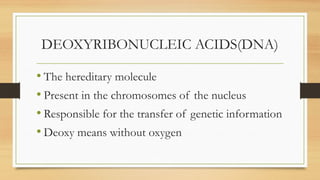 DEOXYRIBONUCLEIC ACIDS(DNA)
• The hereditary molecule
• Present in the chromosomes of the nucleus
• Responsible for the transfer of genetic information
• Deoxy means without oxygen
 