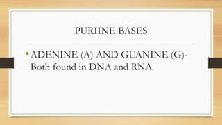 PURIINE BASES
•ADENINE (A) AND GUANINE (G)-
Both found in DNA and RNA
 