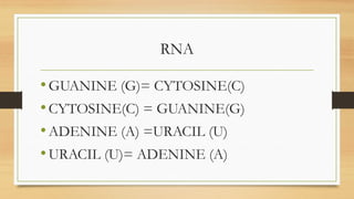 RNA
•GUANINE (G)= CYTOSINE(C)
•CYTOSINE(C) = GUANINE(G)
•ADENINE (A) =URACIL (U)
•URACIL (U)= ADENINE (A)
 