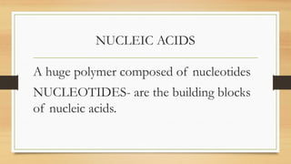 NUCLEIC ACIDS
A huge polymer composed of nucleotides
NUCLEOTIDES- are the building blocks
of nucleic acids.
 