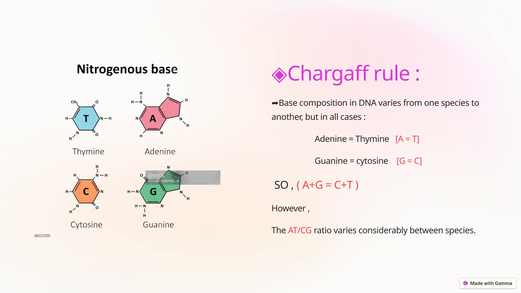 WHAT ARE NUCLEIC ACIDS CLASS 12 CHEMISTRY visual data 5