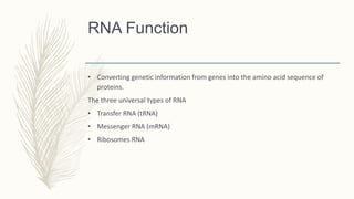 RNA Function
• Converting genetic information from genes into the amino acid sequence of
proteins.
The three universal types of RNA
• Transfer RNA (tRNA)
• Messenger RNA (mRNA)
• Ribosomes RNA
 