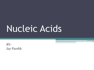 Nucleic Acids 
BY-Jay 
Parekh 
 