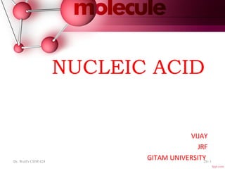 NUCLEIC ACID
VIJAY
JRF
GITAM UNIVERSITYDr. Wolf's CHM 424 28- 1
 