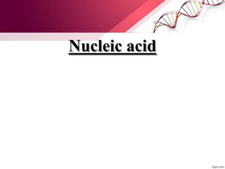 Nucleic acid
 