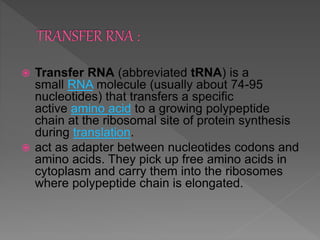  The amino (NH2) group of the aminoacyl-tRNA,
which contains the new amino acid, attacks the
ester linkage of peptidyl-tR...