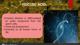 Frederic Miesher in 1869,isolated
an acidic compound from fish
sperm cells.
These are biopolymers.
Essential to all known forms of
life.
 
