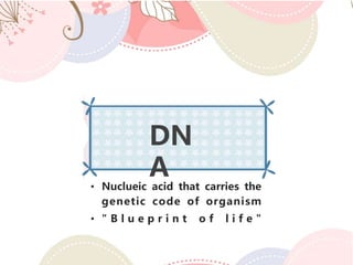 DN
A
• Nuclueic acid that carries the
genetic code of organism
• " B l u e p r i n t o f l i f e "
 