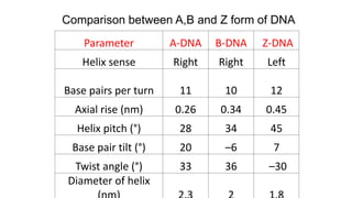 Parameter A-DNA B-DNA Z-DNA
Helix sense Right Right Left
Base pairs per turn 11 10 12
Axial rise (nm) 0.26 0.34 0.45
Helix pitch (°) 28 34 45
Base pair tilt (°) 20 –6 7
Twist angle (°) 33 36 –30
Diameter of helix
Comparison between A,B and Z form of DNA