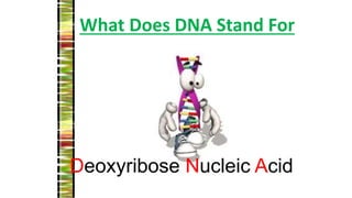 What Does DNA Stand For
Deoxyribose Nucleic Acid