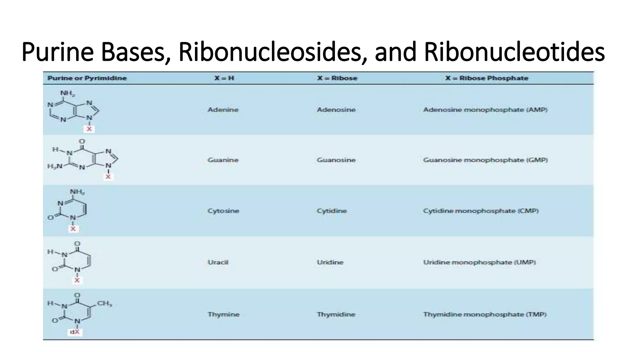 Purine Bases, Ribonucleosides, and Ribonucleotides