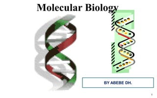 1
Molecular Biology
BY ABEBE DH.
 
