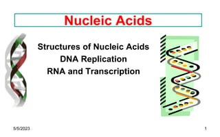 1
Nucleic Acids
Structures of Nucleic Acids
DNA Replication
RNA and Transcription
5/5/2023
 