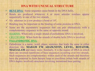 Sentence For Dna Nucleic Acid-its structural and functional complexity. | PDF