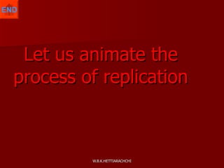 Let us animate the process of replication