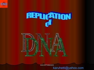 DNA REPLICATION  of  [email_address] 