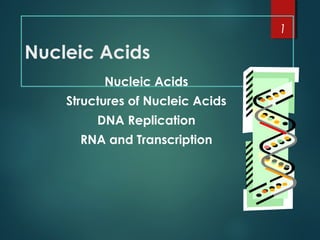 Nucleic Acids
Nucleic Acids
Structures of Nucleic Acids
DNA Replication
RNA and Transcription
1
 