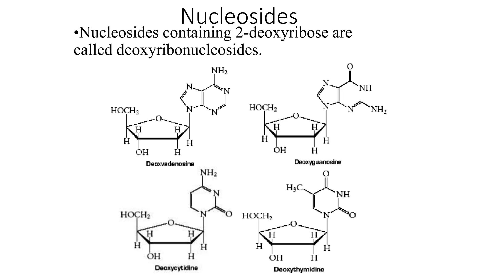 Nucleosides
•Nucleosides containing 2-deoxyribose are
called deoxyribonucleosides.
 