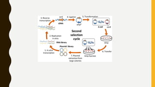 Nucleic acid based microbial diagnostic techniques | PPTX